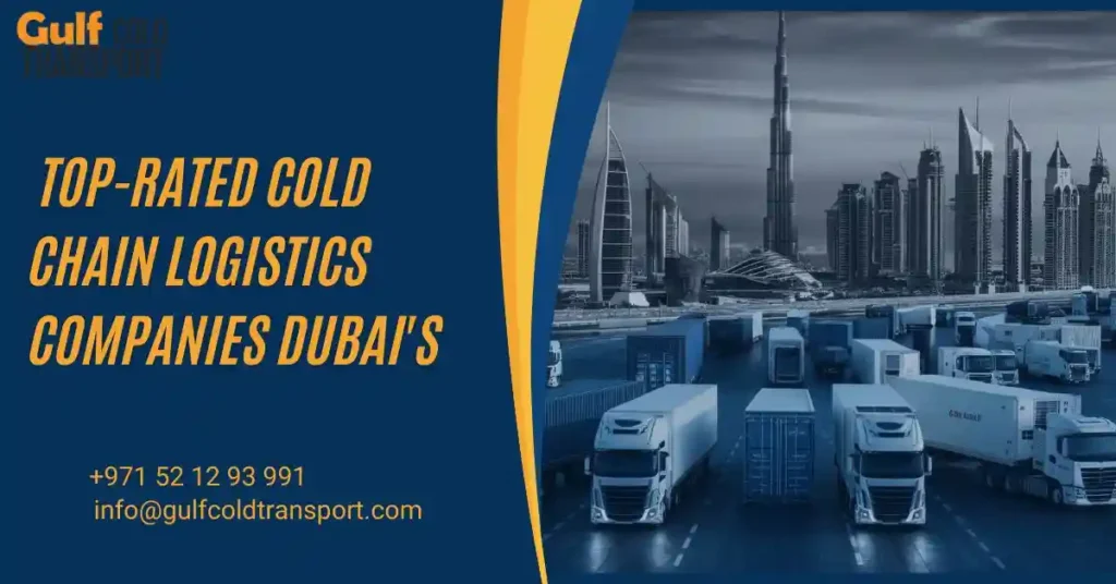 Top-Rated Cold Chain Logistics Companies in dubai