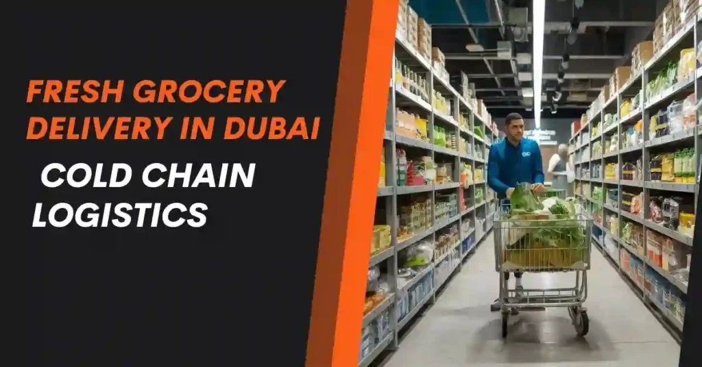 Fresh Grocery Delivery in Dubai: Cold Chain Logistics